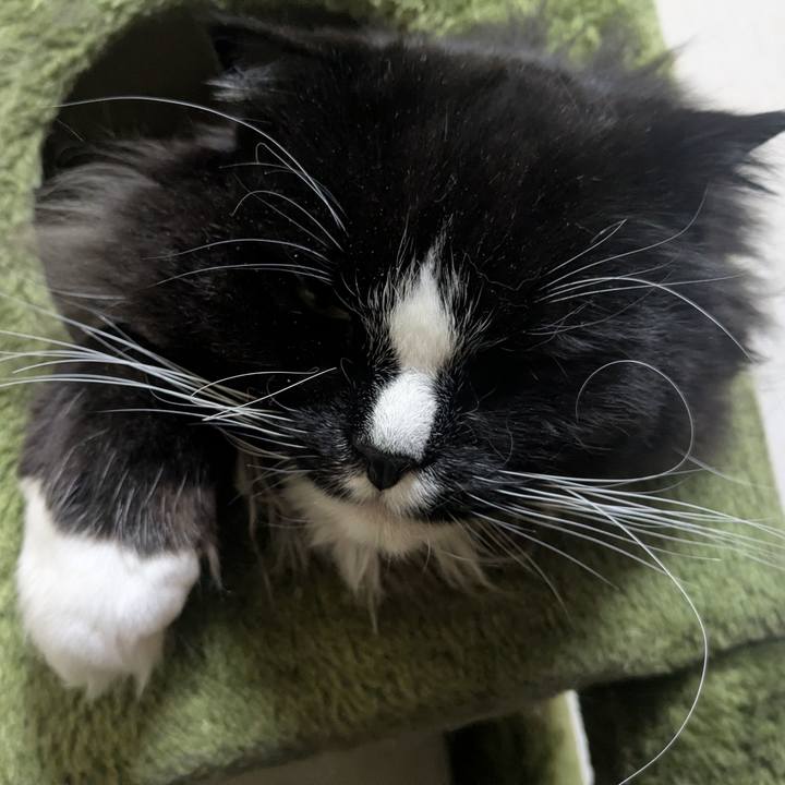 Eb862b16 dfe4 402c 9839 1457cb13953a 1769661406468