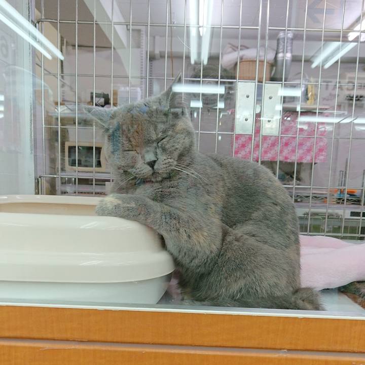 Eb863279 a2a1 4744 b21e 6e662bf1fcf8 1535339357372