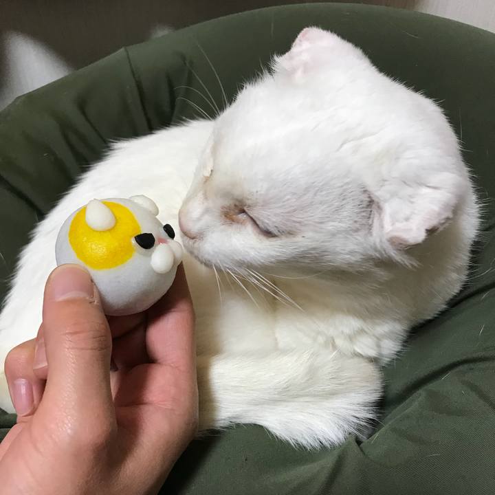 Eb86366e 607a 4f52 99b3 8dc9e00150a0 1518882254168