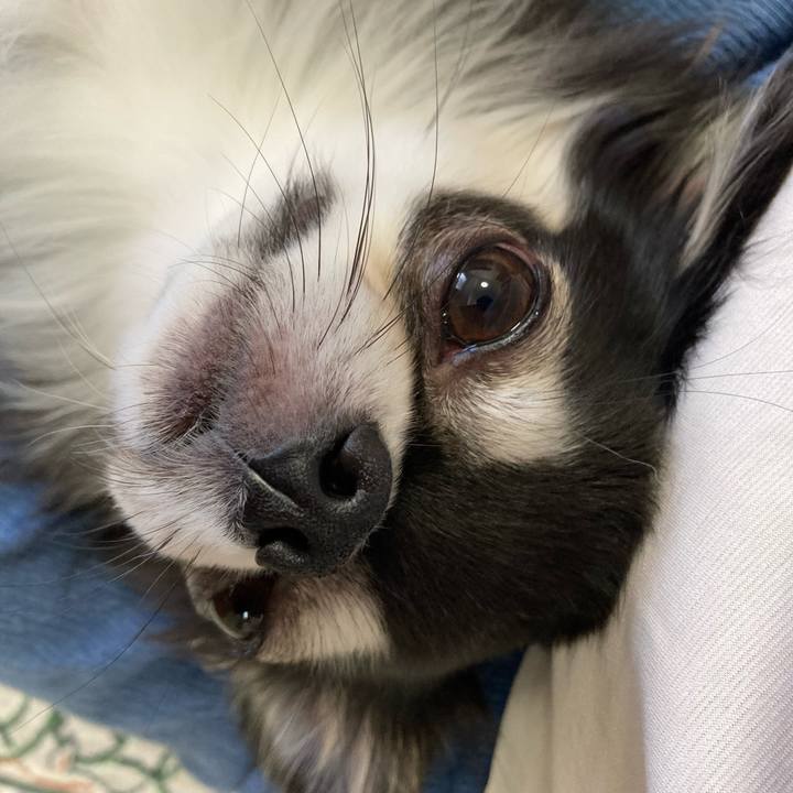 Eb865d48 def9 4dd7 9f55 13e5c127315f 1654349446773