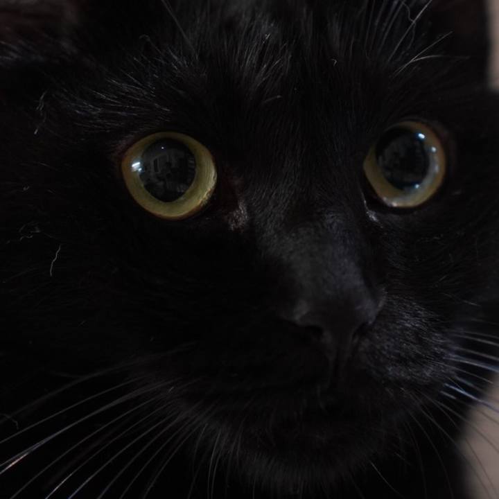 Eb866a75 f961 42c9 a3e6 0db0216336c8 1668434044606