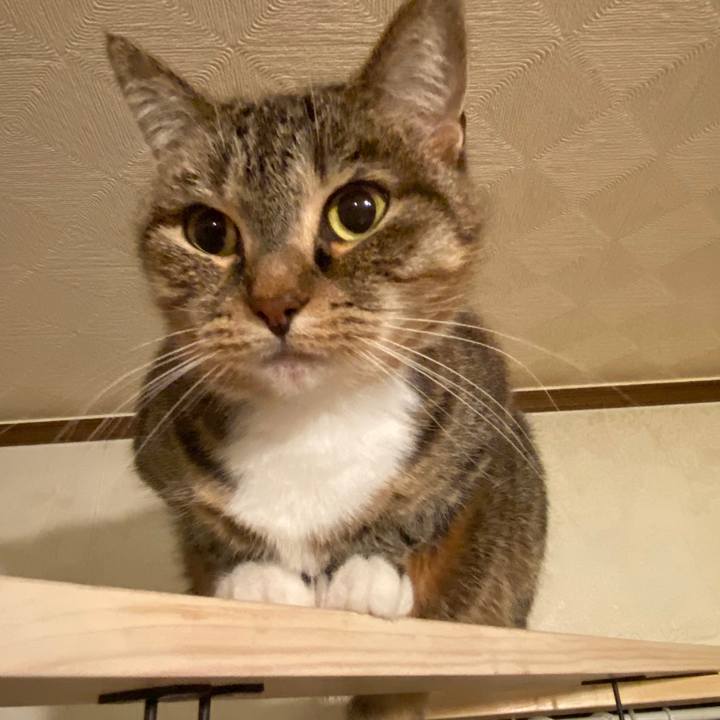 Eb86a274 7db4 43af b61e 611ce8a8609e 1577025024561