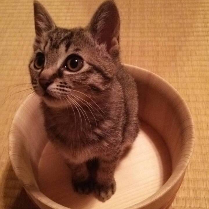 Eb86b7c8 2591 4e5b bbe7 80cf9add322a 1619312746439