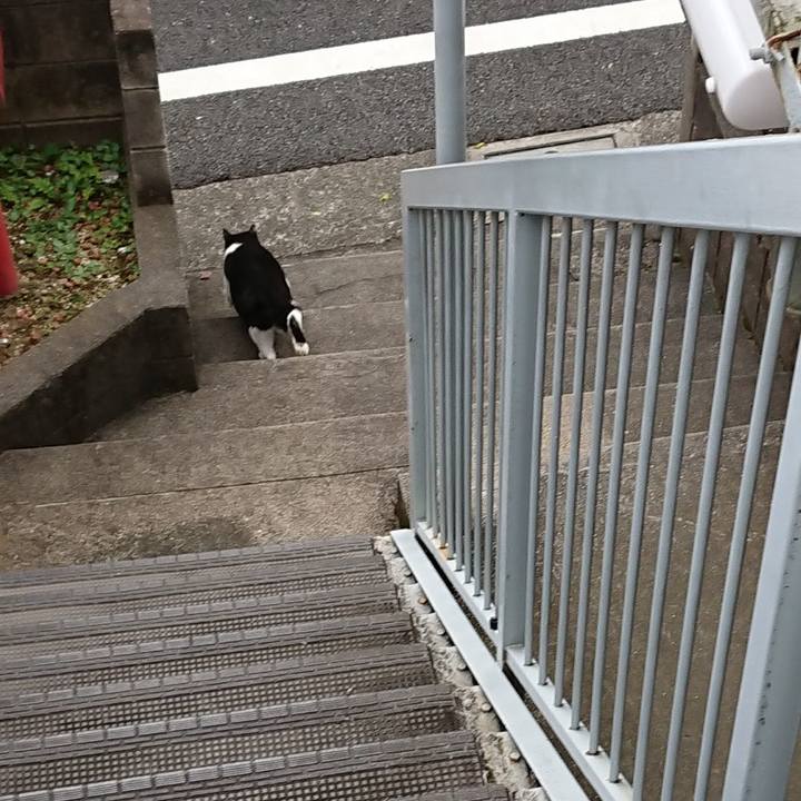 Eb86be2d bbd7 4e72 bd3c caafb1e2c0c1 1601940021293