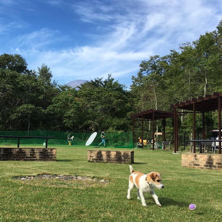 Eb86c91e cfc7 4362 a81d 5462e8b4f663 1569625239966