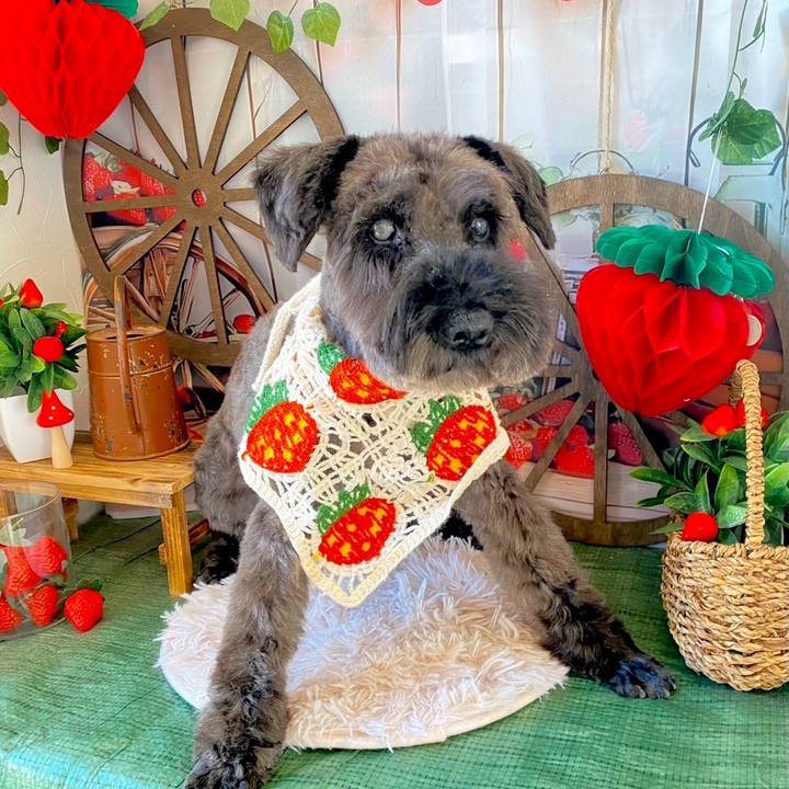 Eb86f172 c94e 41e8 af10 7a7e6f8bbc80 1749867128400