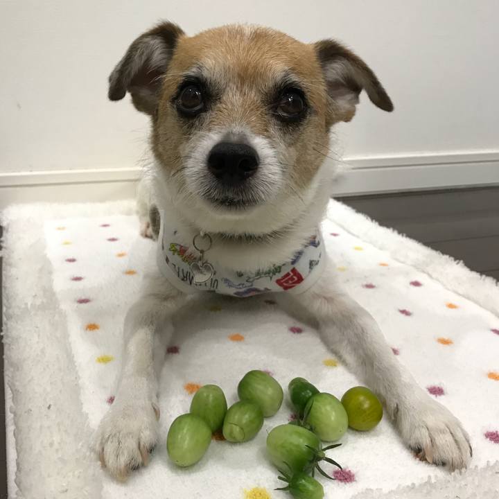 Eb870531 0044 4267 a223 166cc41e27b7 1593508511757