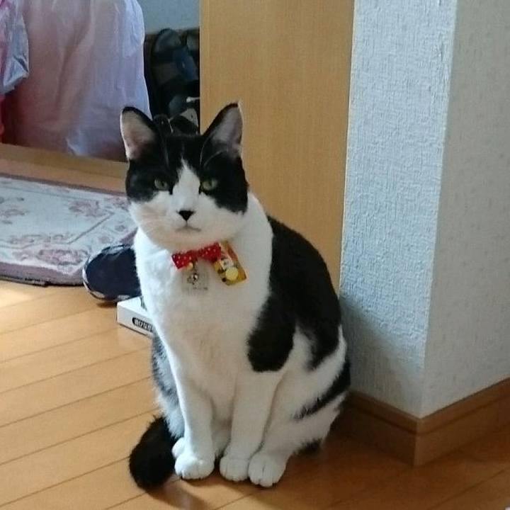 Eb87100c 85f0 4d3f 9428 eb69232f181d 1554701866724