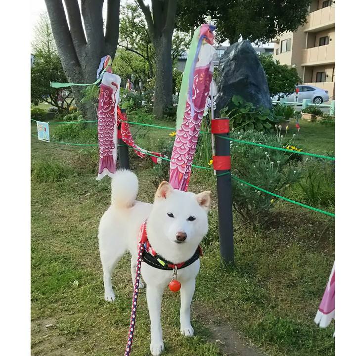 Eb8710ac a1ff 4a30 8e31 c086ad703f98 1588670122794