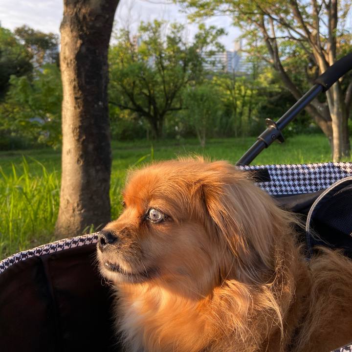 Eb872344 5e40 4560 a617 d2830d2a6e3f 1624828909204