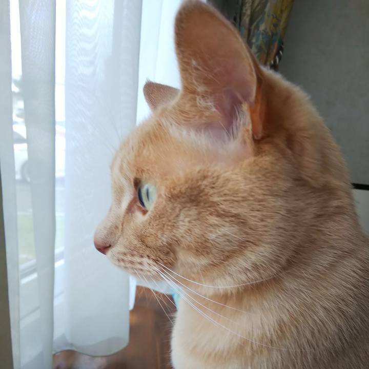 Eb87234d 71d3 47eb 96a2 8c85ce5b7e31 1688200869835