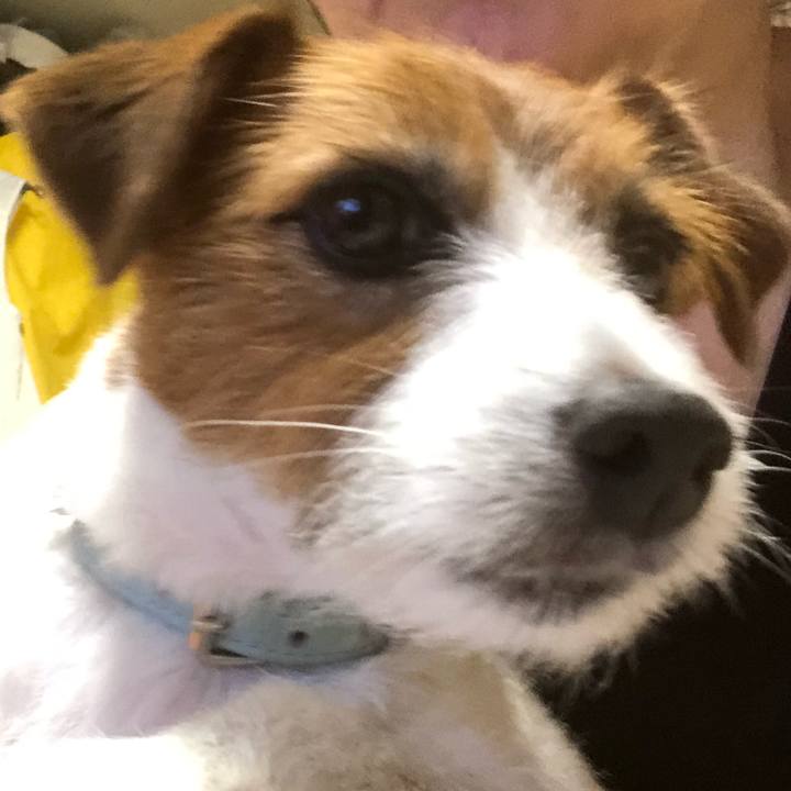 Eb873207 2baa 4022 a4b1 40e370c54ae2 1562493433954