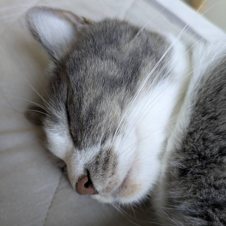 Eb87422b 3c57 4999 b401 f36de0c2f98d 1753670330955