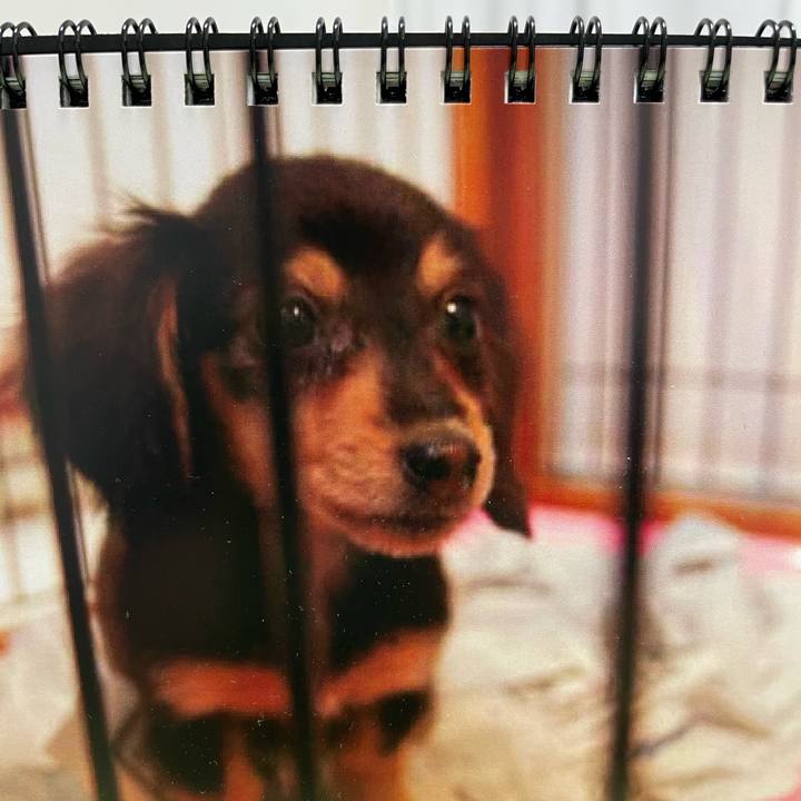 Eb876819 2b07 4b06 9529 9b800811defc 1643636857388