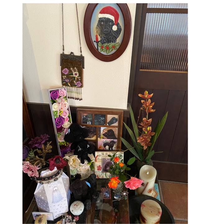 Eb8769c1 e592 40e4 b4f6 36beda54128f 1668485334610