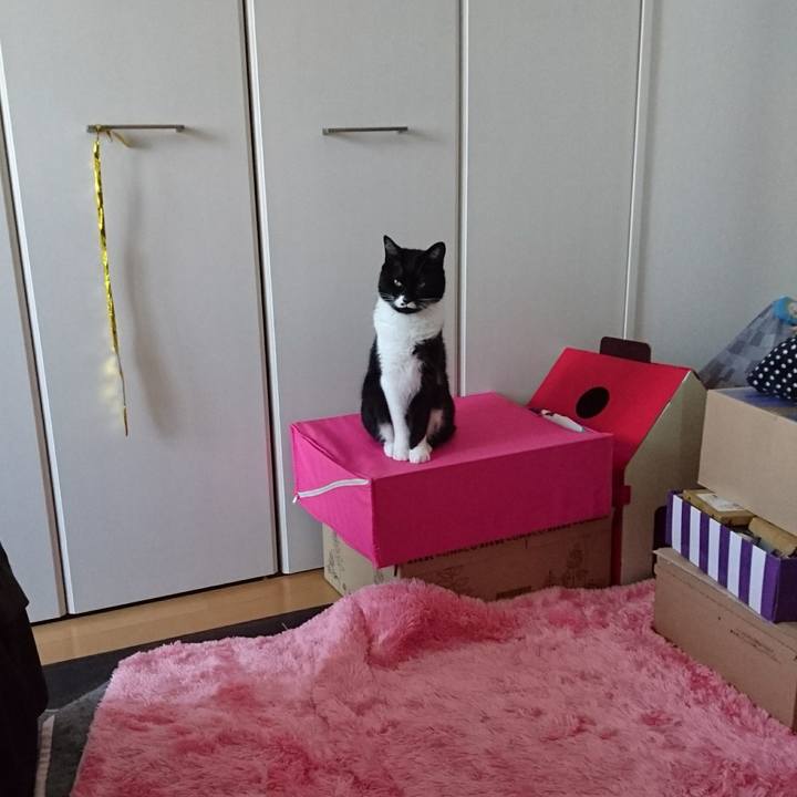 Eb877a6e fc49 4f64 9289 231d99f91b25 1528298592143