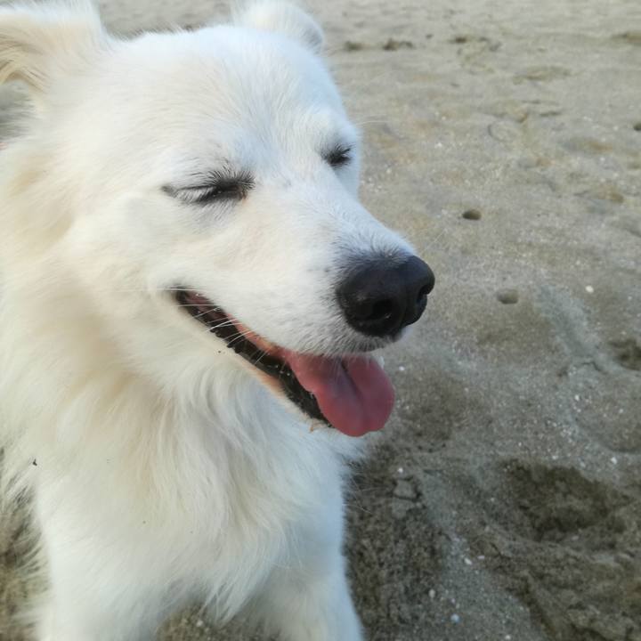 Eb878dfa c53d 4766 8525 f7a5bcdf11ec 1509325405005