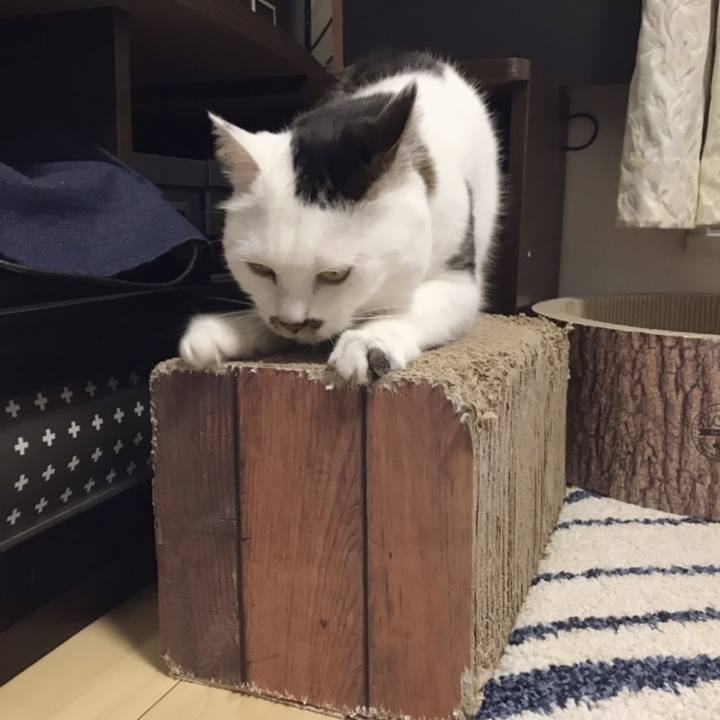 Eb87af7f ec5e 4c44 8e7f aaa18dae4b67 1558239066530