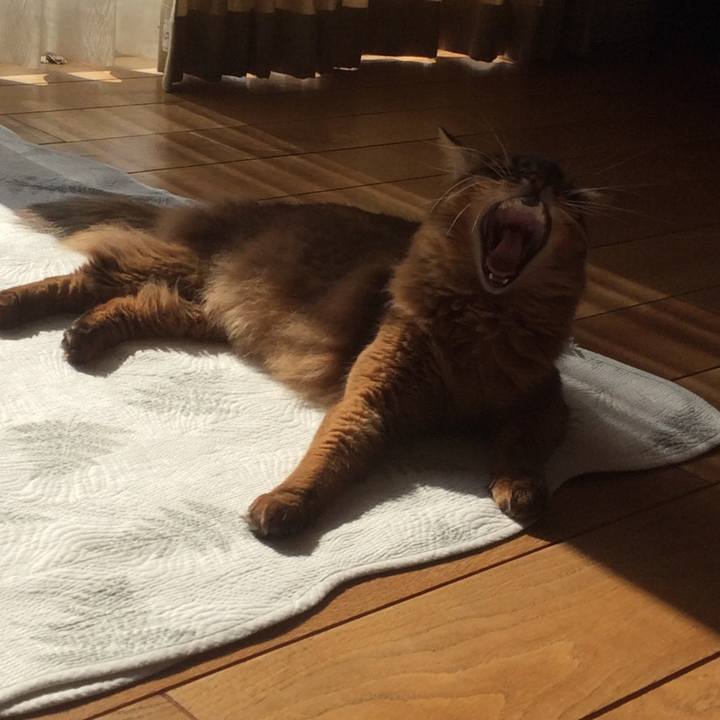 Eb87cb65 0d66 458c 997a 79d150050842 1611031526811