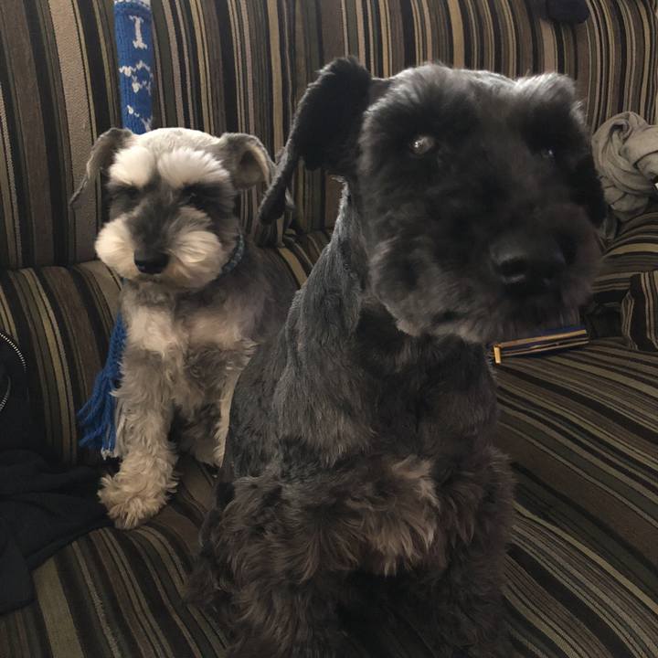 Eb88144a 580c 4154 ad65 6e4d72042493 1523082484214