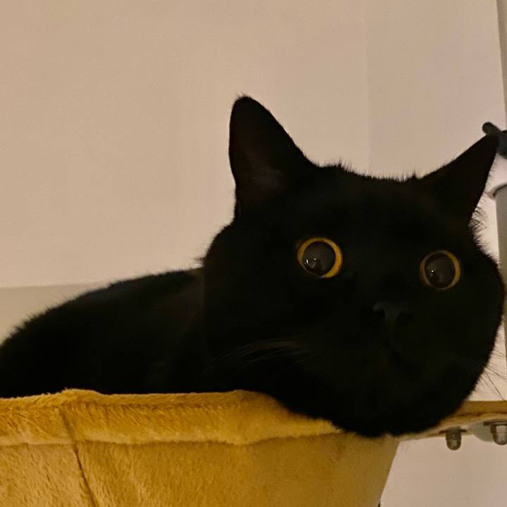 Eb884157 39e5 41d1 add6 76801b09909c 1619179861421