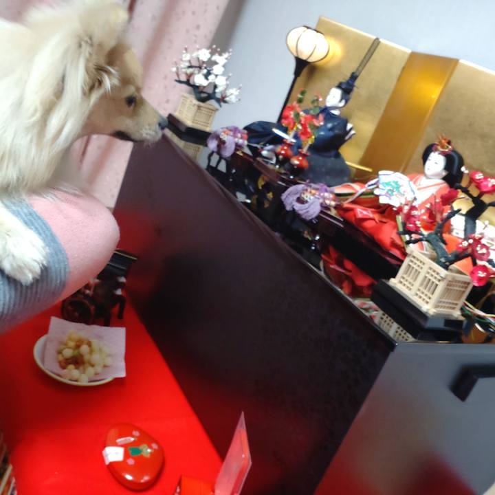 Eb884b01 dd47 4e4c b27f 1d64877fcc51 1740999501556