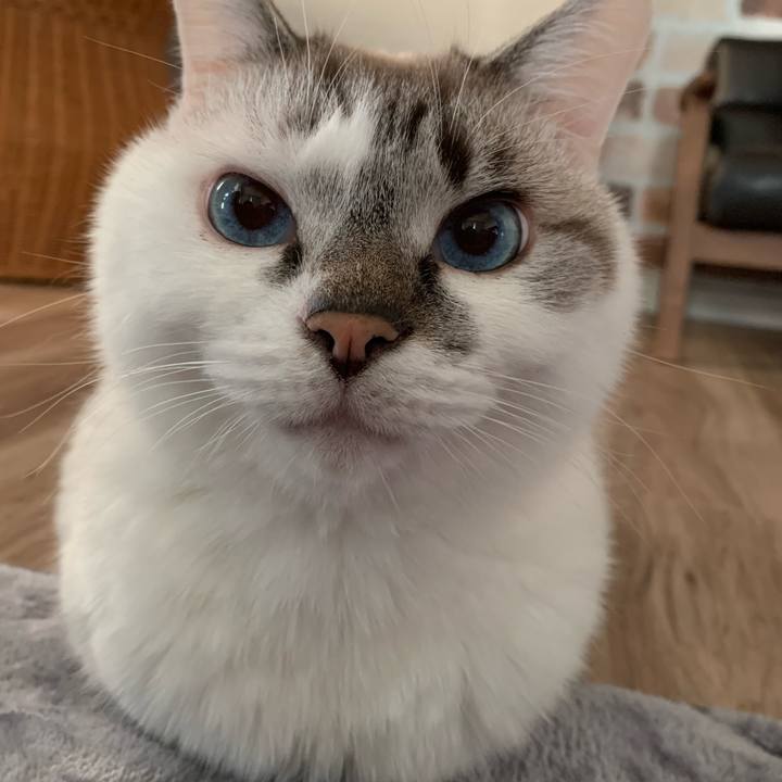 Eb885fb1 9867 44bc acef e92dc0785391 1670050867766