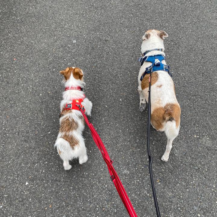 Eb88772e 253c 4b72 b18e fd90e3221fa5 1642906973203