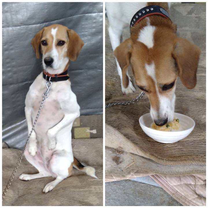 Eb888fe8 948f 4df7 8abb bbb62db26842 1629441142794