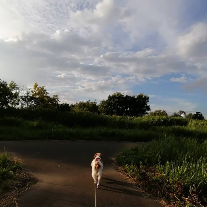 Eb889aca 49d6 4e98 be46 94a2e643d6f3 1596974950128