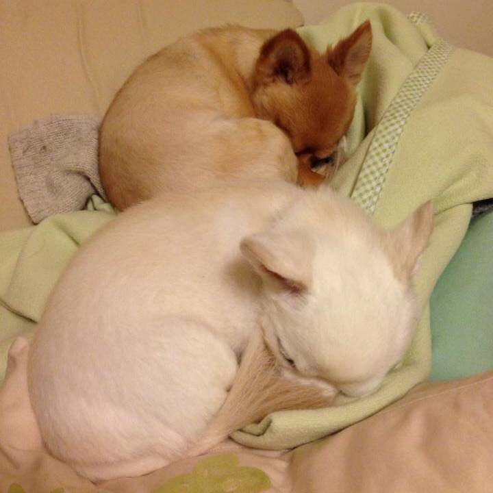 Eb88fbbe 5faa 4e1d 85ea 98683f32171a 1520210295293