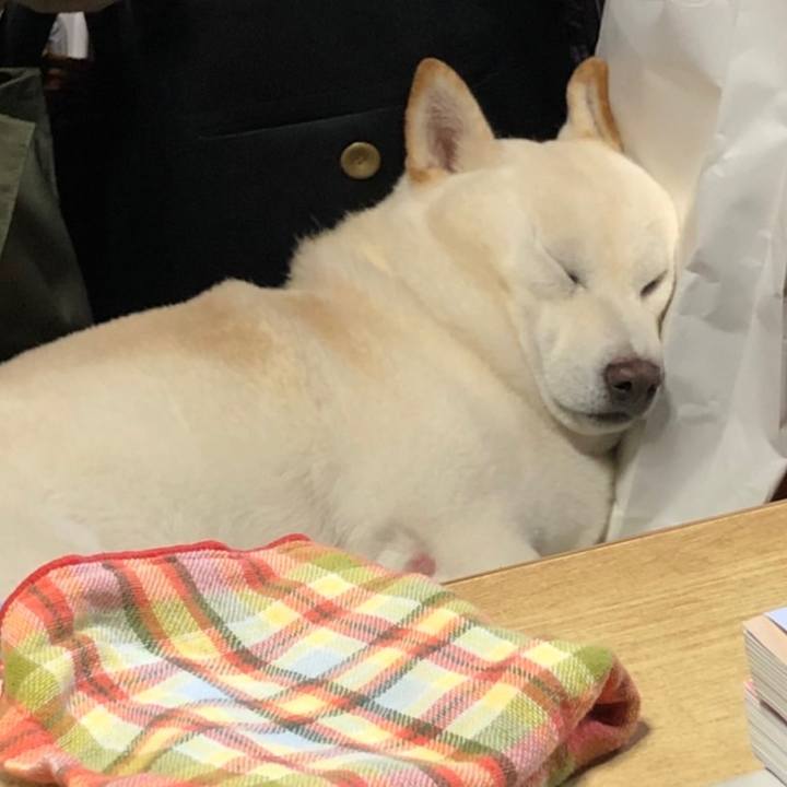 Eb89093d 868d 4043 a274 cec080f49147 1664620947158