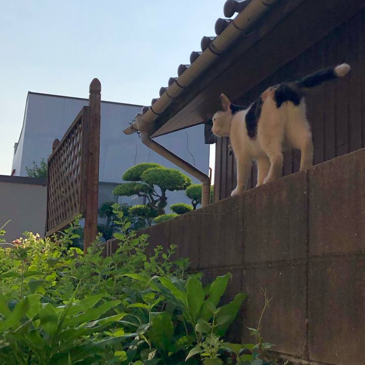 Eb893105 c5cd 4621 8795 99df4b433255 1624448058169