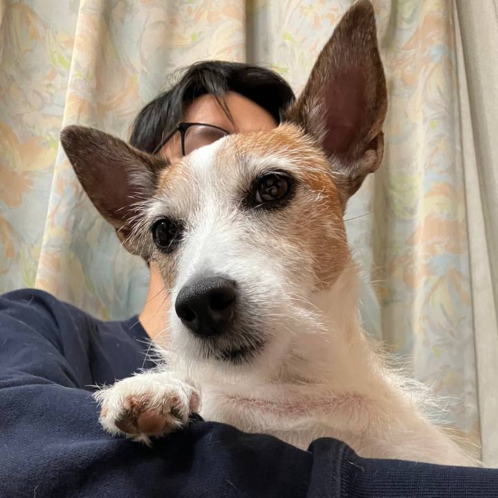 Eb897735 457f 4ba7 868a ddab967ebac0 1699756614440