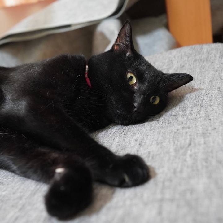 Eb897769 df53 4767 a5bc 65ba6fee550c 1594684082047