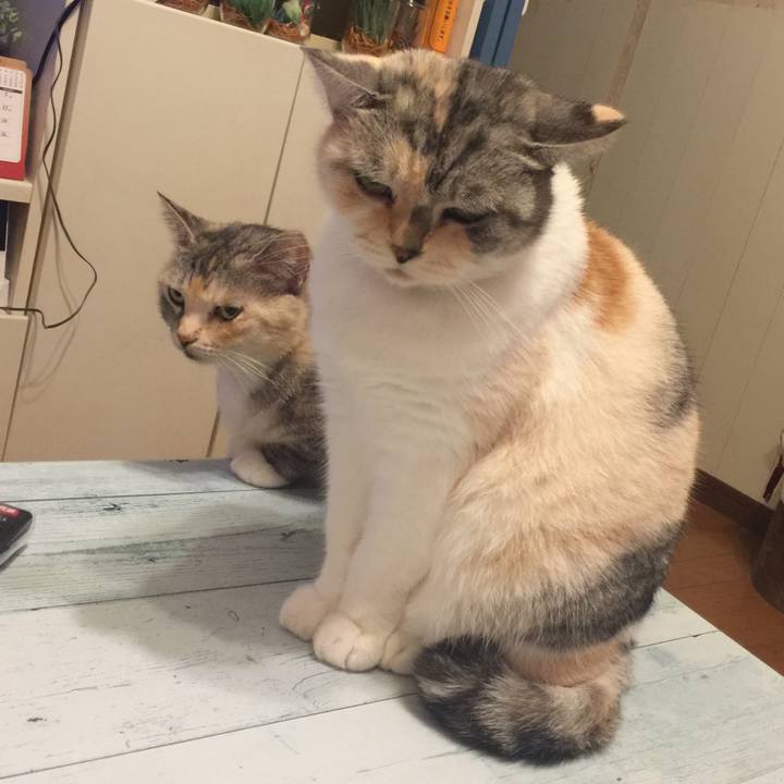 Eb89df22 084f 41cf aa09 0006cb2667ca 1572007558593