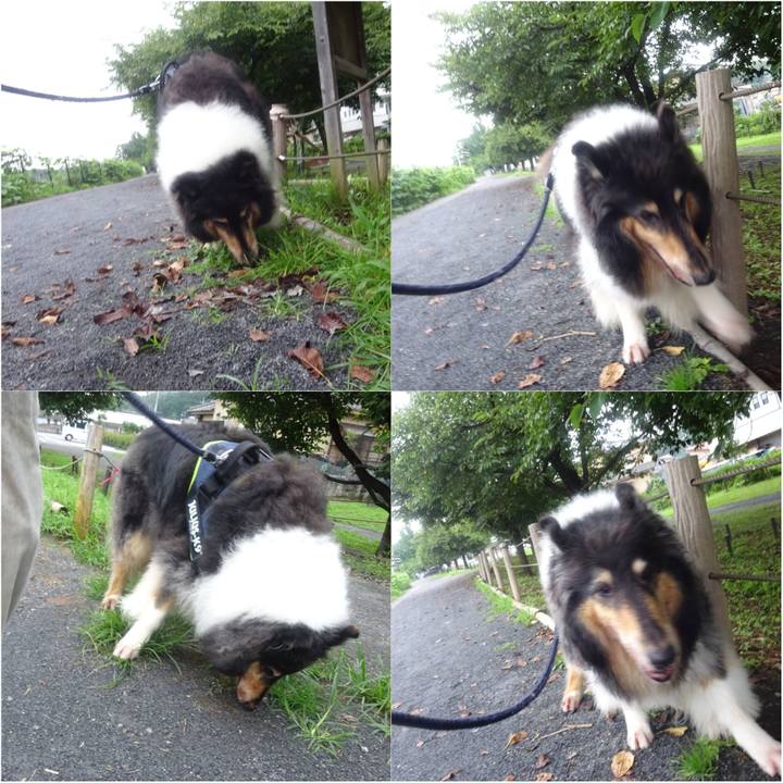 Eb89e16f 1000 4c52 90c0 a71e311e3e1c 1595854526743