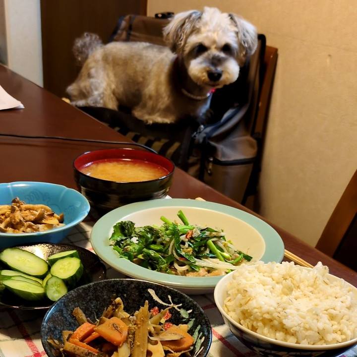 Eb89f394 db4e 4d18 8a88 0e8c962e1ffe 1756306624650