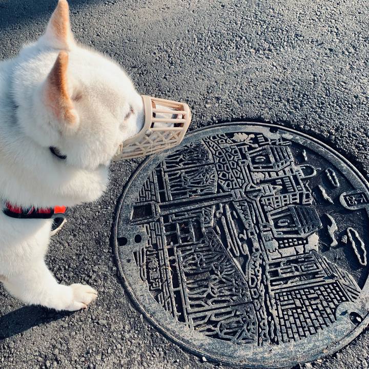 Eb89fd7c 454c 41dd 9966 3fd349054cca 1678315639951