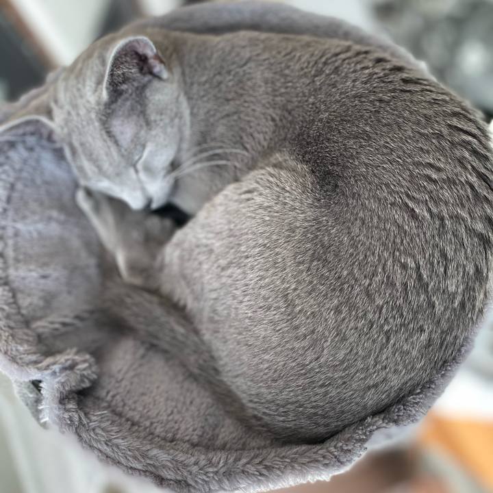 Eb8ab23b a1ba 4bbd a032 77e6f4faeb69 1614818652480