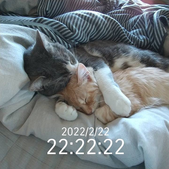 Eb8ac441 328c 4af0 bbae f7a225938d9a 1645536944654