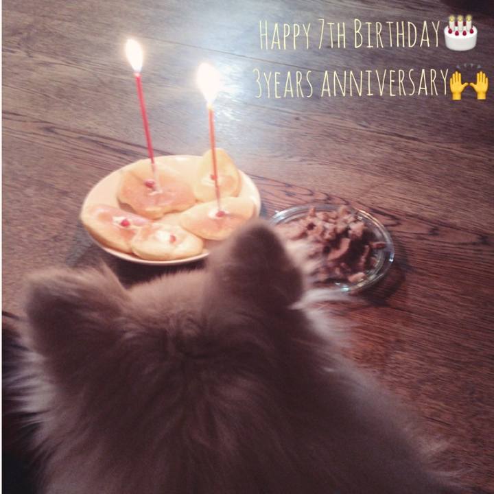 Eb8af9ff 7c24 41e0 ad23 b41d3cc7b36c 1549808275966