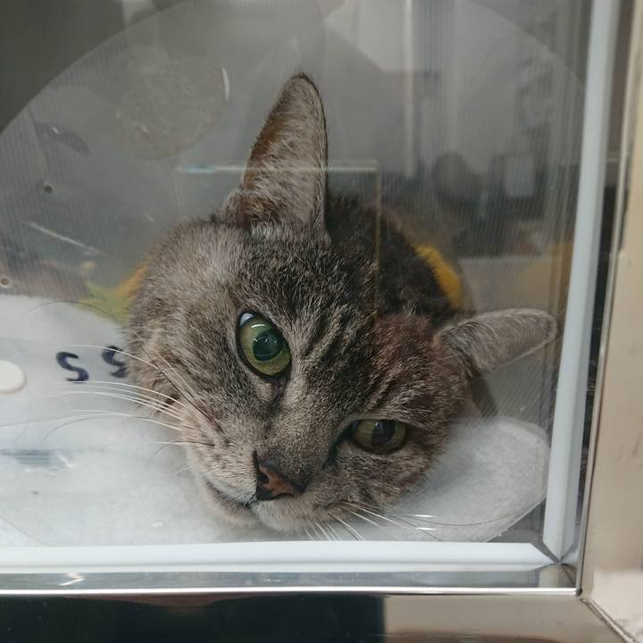 Eb8b3457 379d 462c ab61 469e6486361e 1585817734810