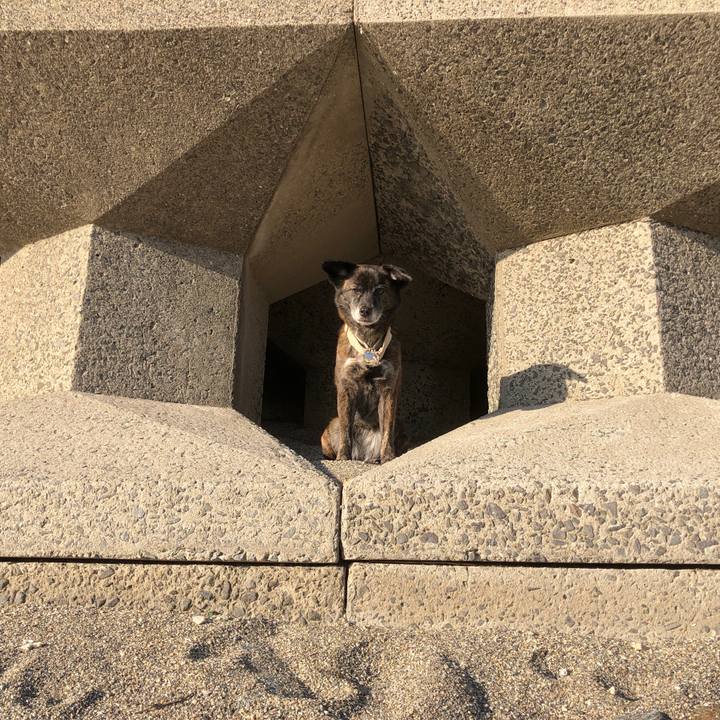 Eb8b3bc8 42fe 45a1 a9a4 5ec80a9a4a19 1583155661628