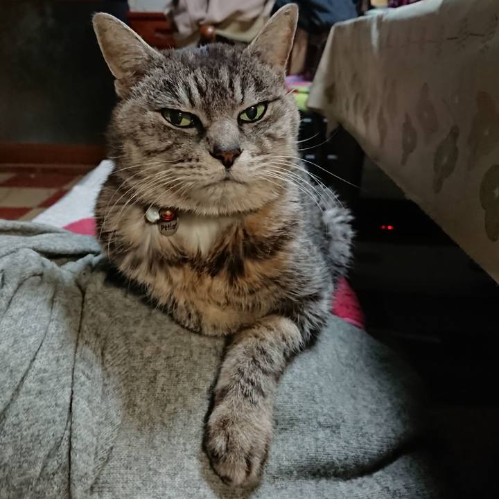 Eb8b6270 b552 4b16 8274 38c82270d5ee 1579039052533