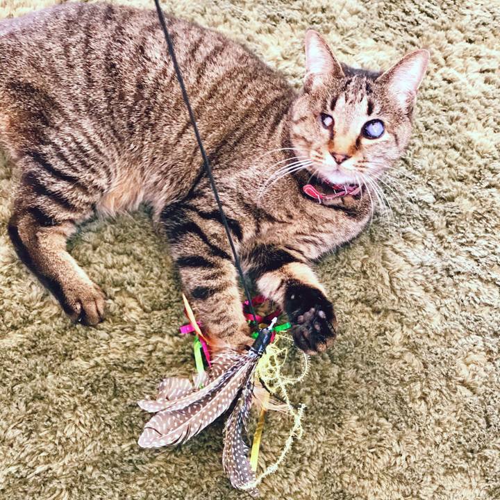 Eb8b97ff 567b 4470 8c32 cc8820b0126b 1522904118464