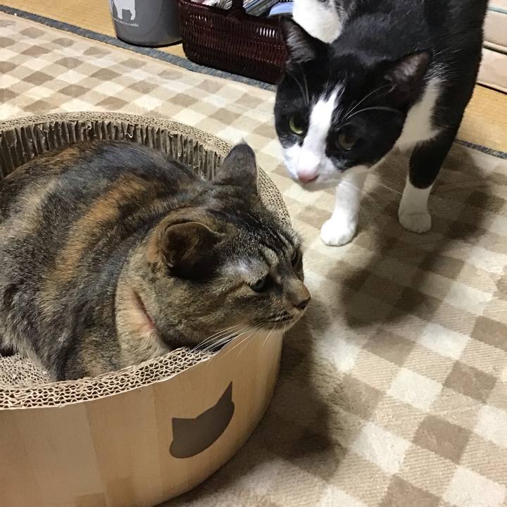 Eb8bae56 cfdc 4091 962b 4b4e84a9eea8 1729328476884