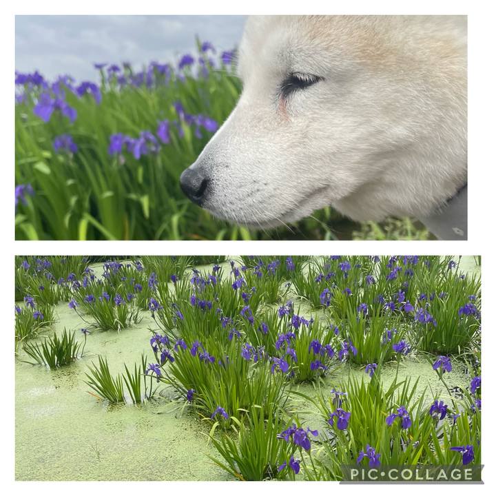 Eb8bc8d7 c33f 428a a8e0 793bdac9b524 1682820981453