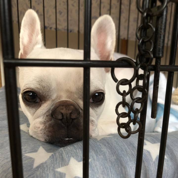 Eb8c092a 977f 49ed 84a0 753ac60bd7a3 1562334463916