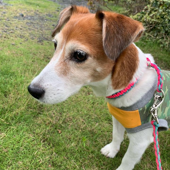 Eb8c1b49 56f8 42ca b2b3 5c64016041e2 1563638816694